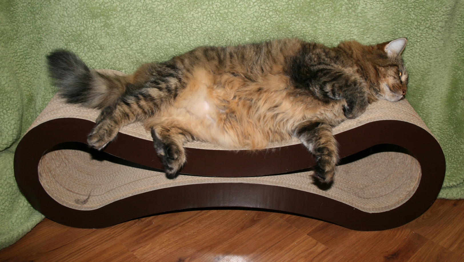 PetFusion Cat Scratcher Lounge